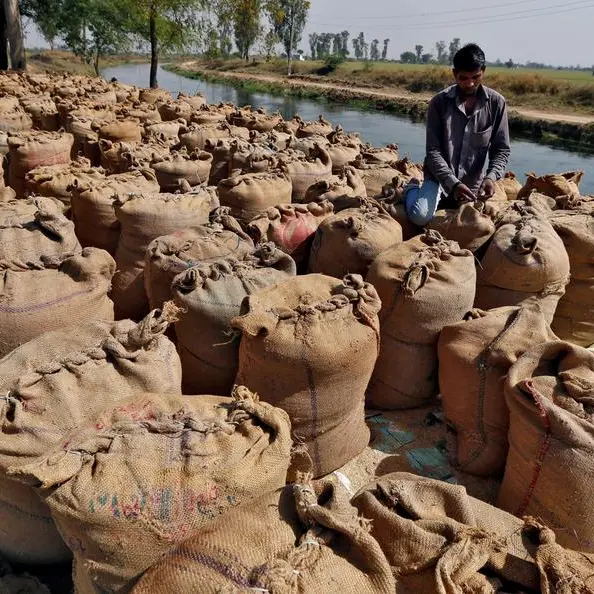 India rice stocks at three times target, easing supply concerns