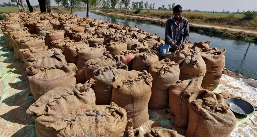 India rice stocks at three times target, easing supply concerns