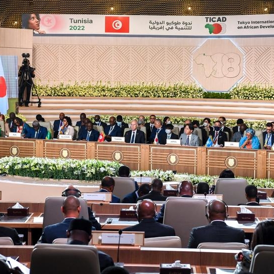 Japan pledges $30bln in African aid at Tunis summit