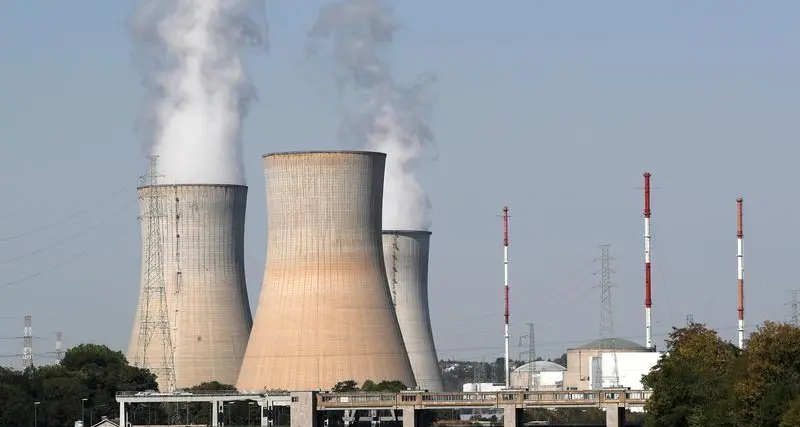 Pakistan's largest Chinese-built nuclear plant to start operating