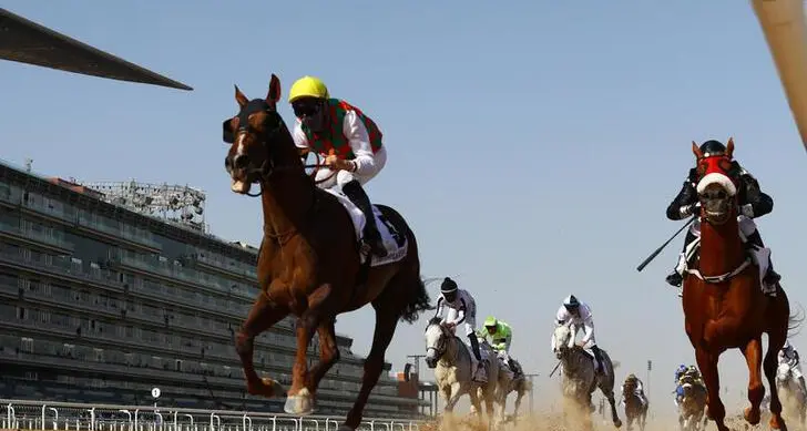 UAE horse racing: Al Ain off to a flyer, Jebel Ali under starter's order