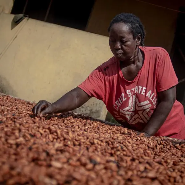 Who profits from the soaring price of cocoa?