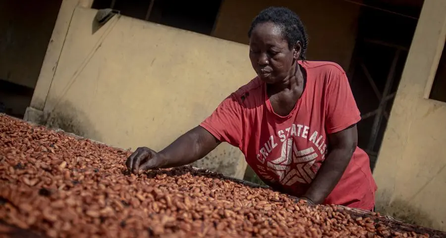 Who profits from the soaring price of cocoa?