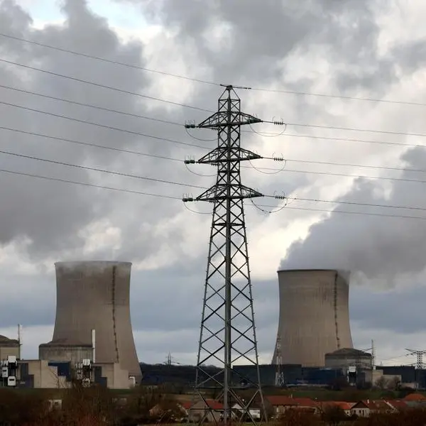 EDF Q1 revenues rise but nuclear output declines: France