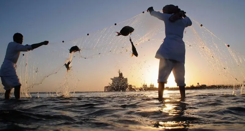 KSA to launch fisheries incubator; aims to increase exports at $3.19bln