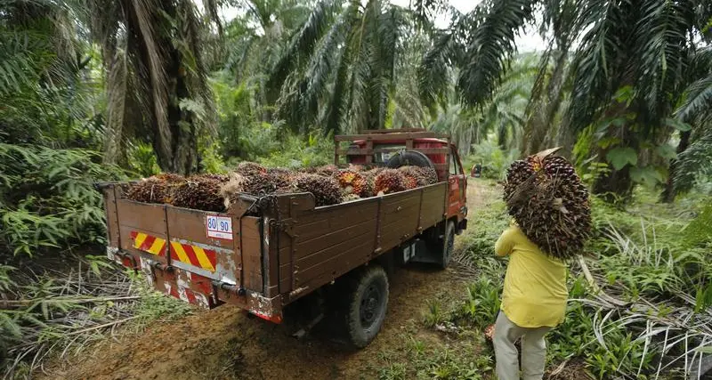 Ferrero to stop buying palm oil from Malaysia's Sime Darby over labour concerns