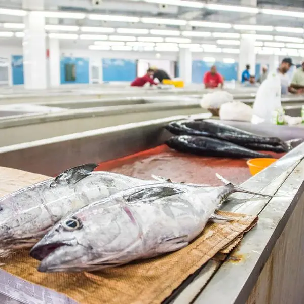 Oman: AquaBioTech to advise FDO on aquaculture, fisheries development