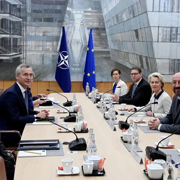 Nordic countries plan joint air defence to counter Russian threat