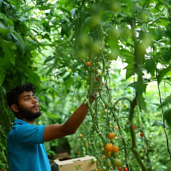 UAE launches new programme to boost agriculture sector