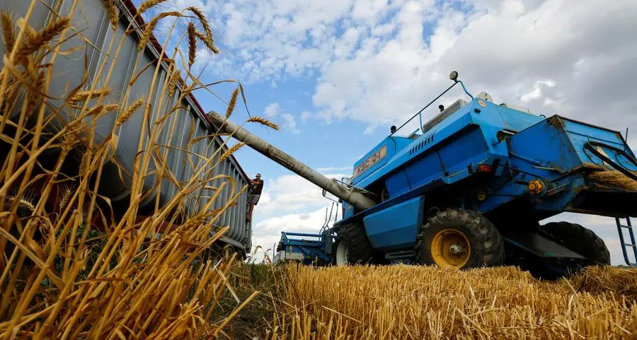 Russia is using grain as ammunition, says Polish minister