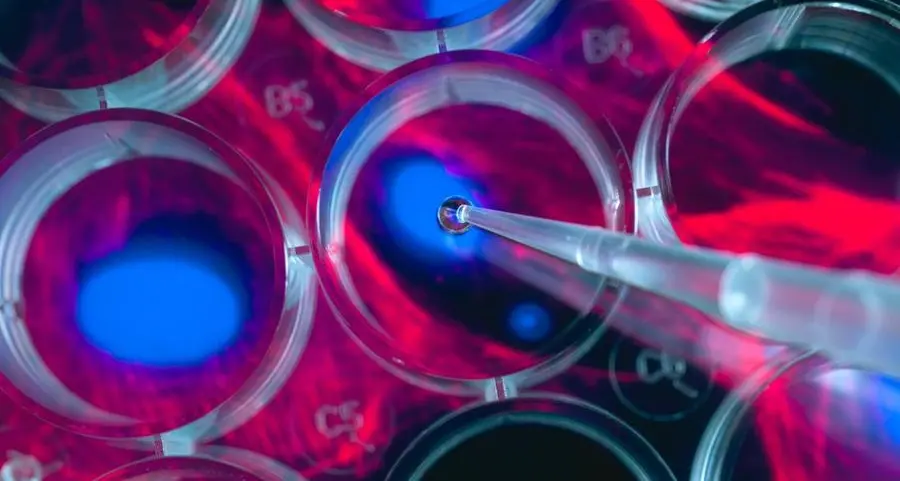 Mayo Clinic researchers identify a new stem cell patch to gently heal damaged hearts