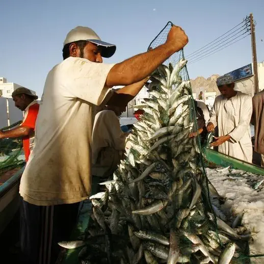 Development of Duqm Industrial Fisheries Port enters key phase