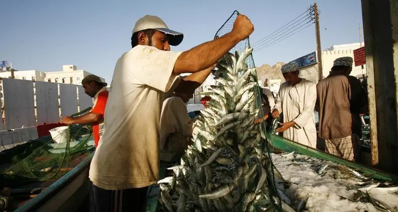 Development of Duqm Industrial Fisheries Port enters key phase