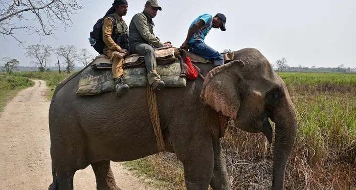 Rare rhinos dodge poachers in world's top reserve for first time since 1977