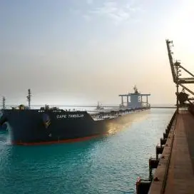 EGA, Abu Dhabi Ports welcome largest bulk cargo ship to ever call at Khalifa Port