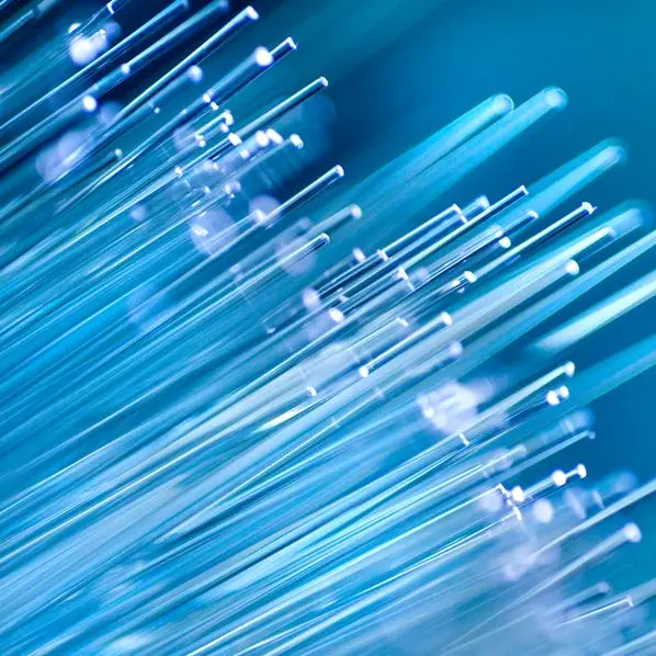 Fibre-optic leap bridges African digital divide