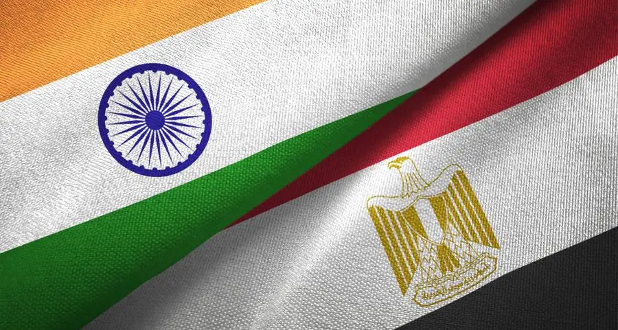 Egypt, India affirm their strategic partnership, discuss regional issues