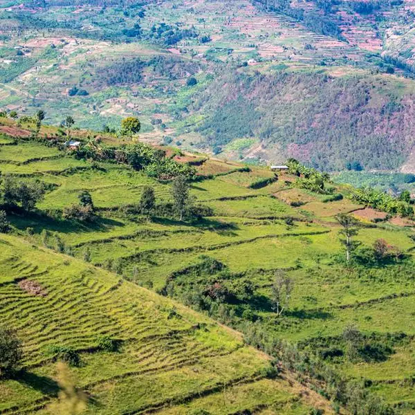 Climate change wiping out Africa’s traditional vegetables