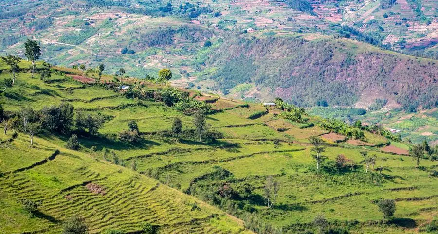 Climate change wiping out Africa’s traditional vegetables