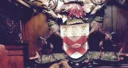 Sidra Medical and Research Center's Chief Nursing Officer receives prestigious award from the Royal College of Surgeons in Ireland