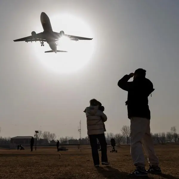 Irish court pauses order for Dublin Airport to limit flights