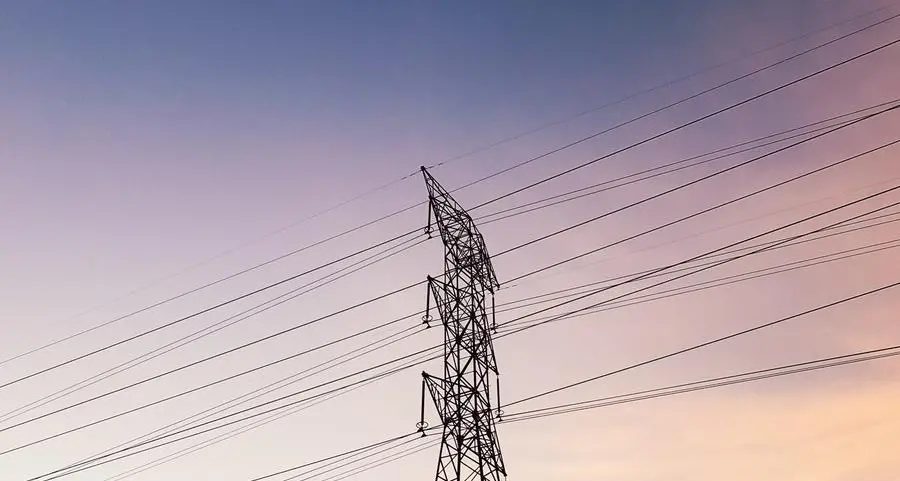 Saudi Arabia and India agree to study feasibility of establishing power grid