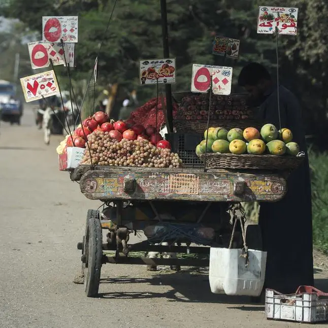 Egypt: CBE, Planning Ministry collaborate on financial inclusion for ‘Decent Life’ initiative