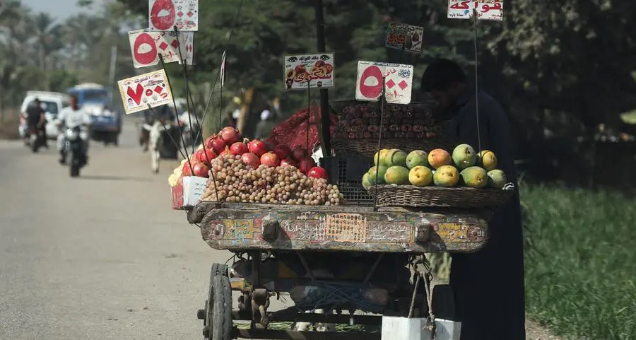 Egypt: CBE, Planning Ministry collaborate on financial inclusion for ‘Decent Life’ initiative