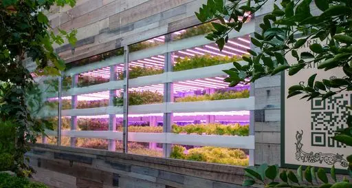 Dubai’s vertical farm operator Crysp Farms raises $2.25mln