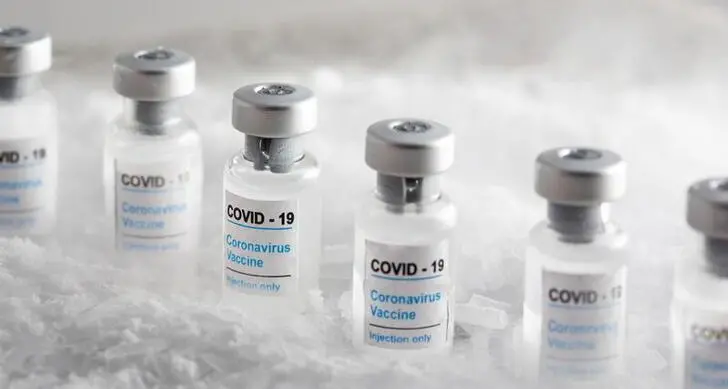 Japan to grant emergency approval to Shinogi COVID-19 drug