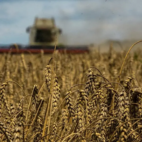 Traders don't plan to suspend grain exports from Odesa after Russian attacks -Ukraine minister