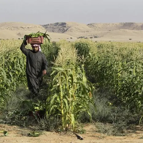 Saudi Tabuk Agricultural Development approves 46% capital cut