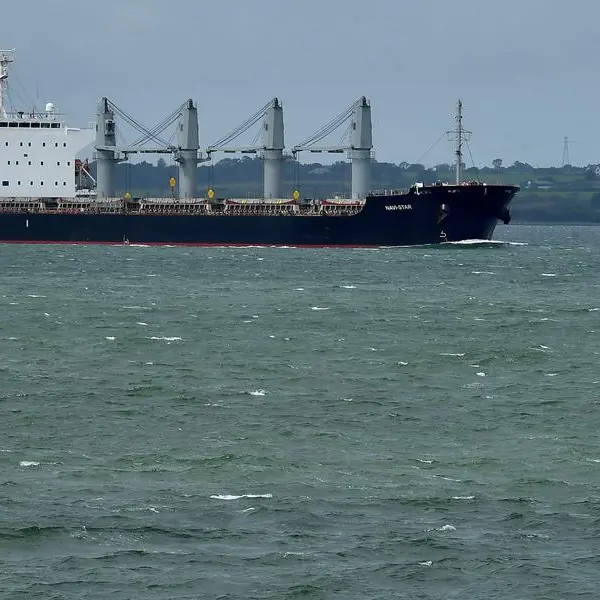 Ukraine grain deal dominates food security debate at G20