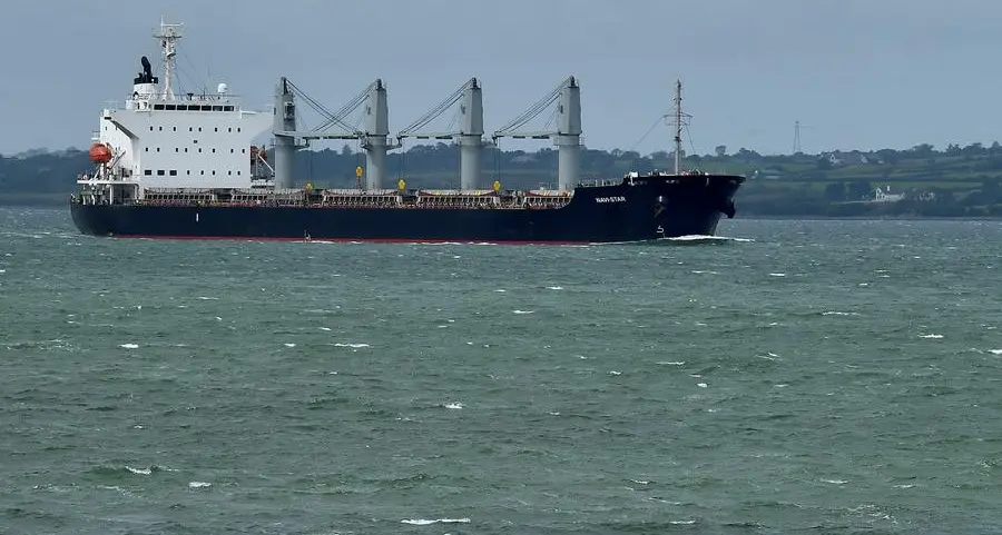 Ukraine grain deal dominates food security debate at G20