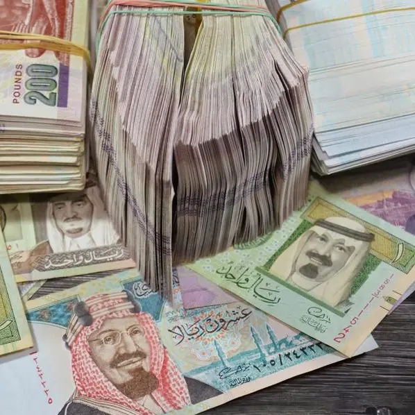Saudi investments in Egypt hit $25bln