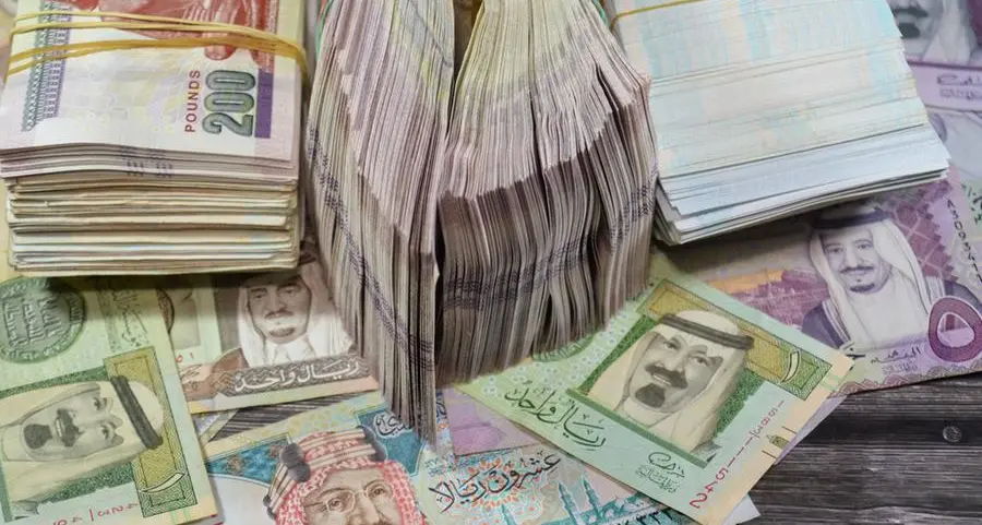 Saudi investments in Egypt hit $25bln