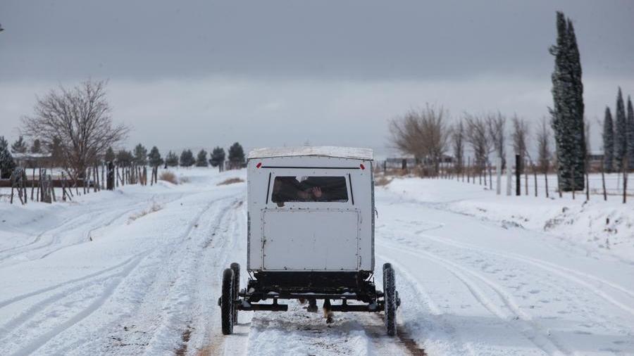 In Mexico, a decade of images shows Mennonites' traditions frozen in time