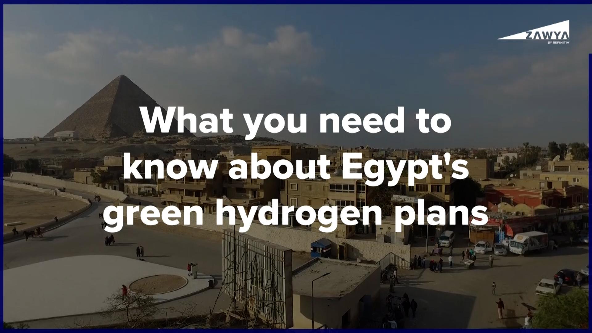 VIDEO: What you need to know about Egypt's green hydrogen plans