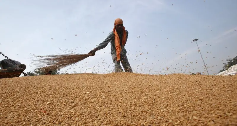 Wheat rises on bargain-hunting after hitting 3-year low