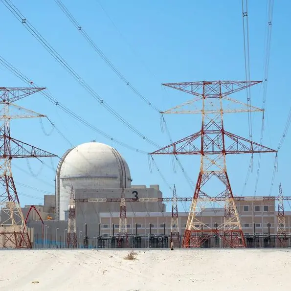 UAE completes Arab world's first nuclear plant