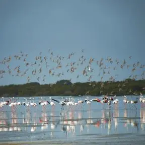 Al Zorah introduces adrenaline-fuelled watersports