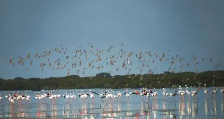 Al Zorah introduces adrenaline-fuelled watersports