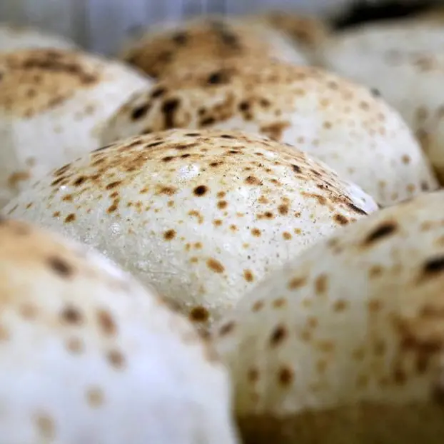 Chicago soybeans pull back after rally; traders await USDA crop report