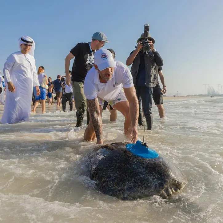 The Environment Agency – Abu Dhabi and The National Aquarium are set to rescue “Turtle 1,000”