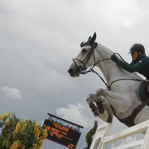 Saudi showjumpers riding high