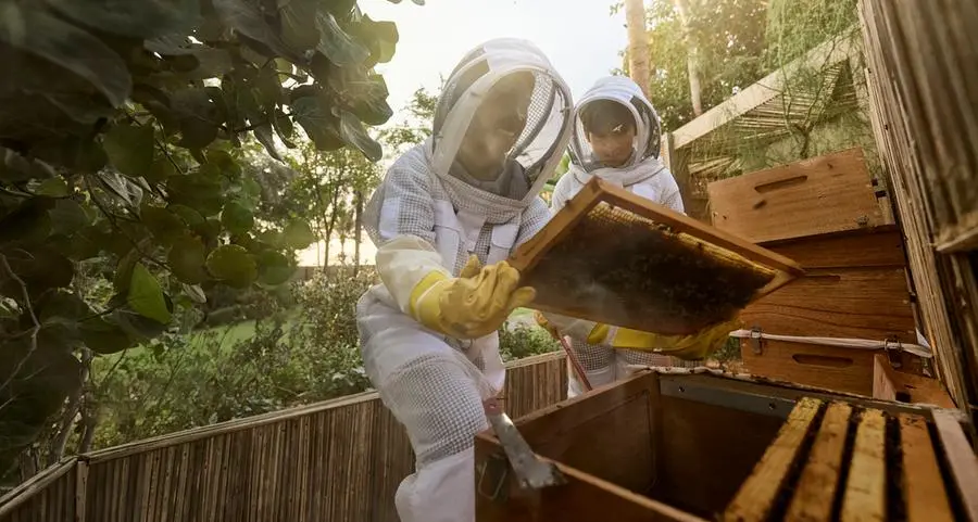 Jumeirah unveils Eco Village, an immersive sustainability destination at Madinat Jumeirah