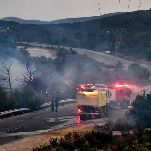 UAE stands in solidarity with Algeria, offers condolences over victims of wildfires