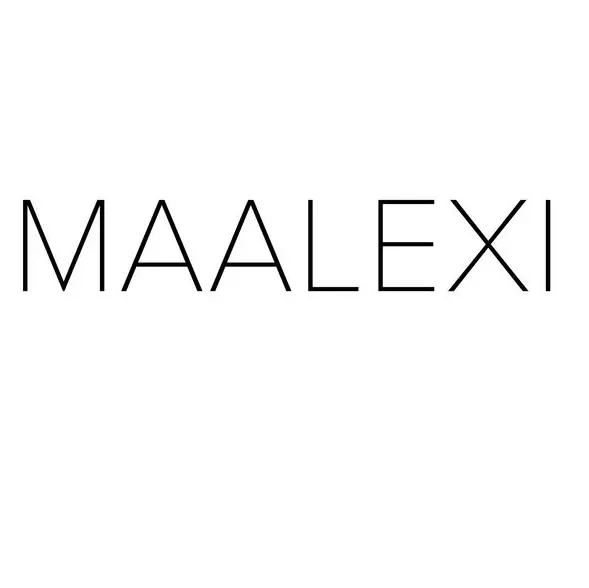 Maalexi secures a shariah-compliant credit facility of up to $20mln from Amwal Capital Partners