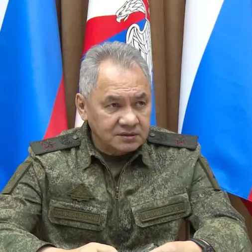 Russia's Shoigu says victory 'inevitable' in New Year message