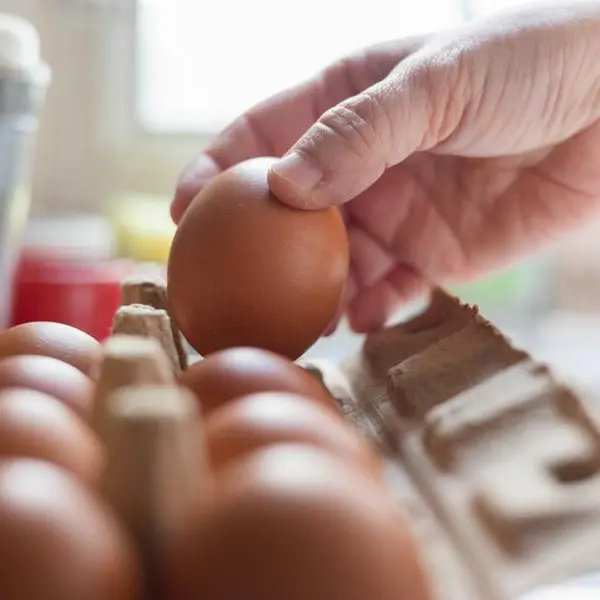 UAE allows temporary increase in egg, poultry prices